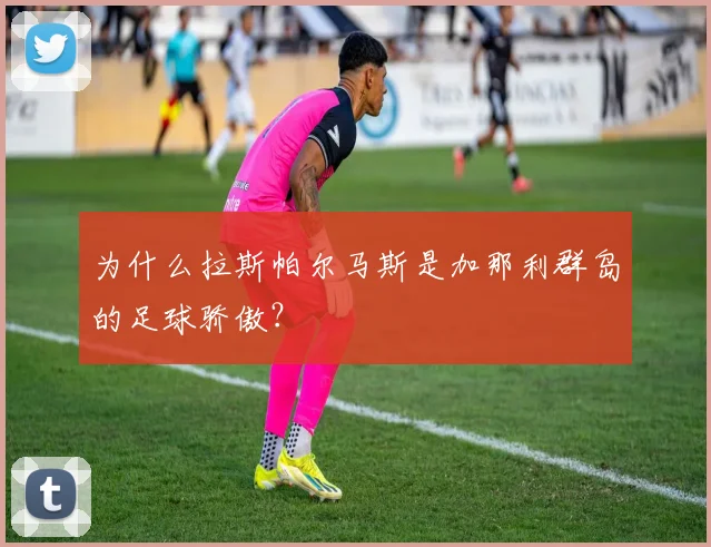 为什么拉斯帕尔马斯是加那利群岛的足球骄傲?