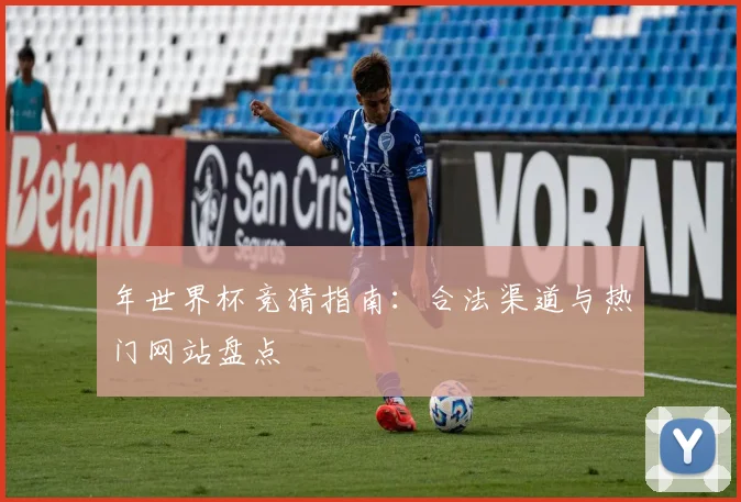 年世界杯竞猜指南:合法渠道与热门网站盘点