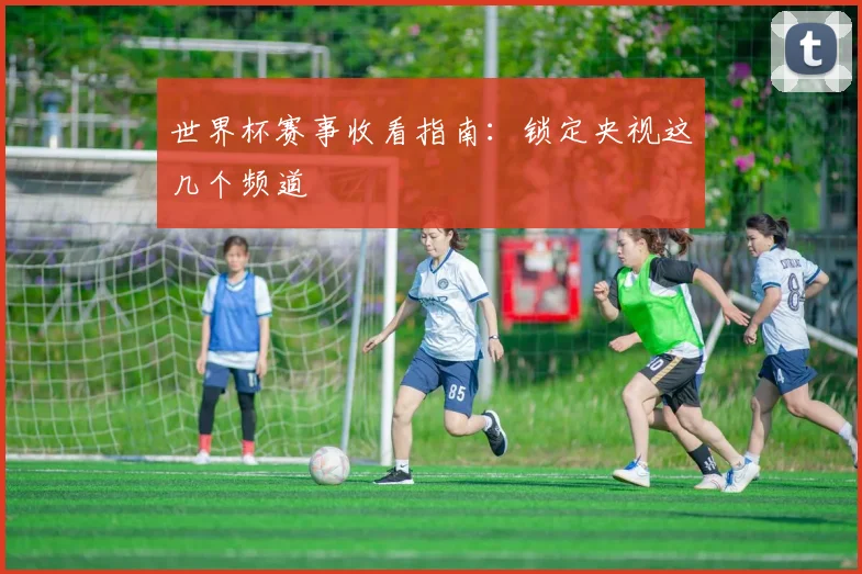 世界杯赛事收看指南：锁定央视这几个频道