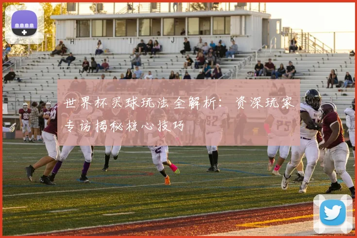 世界杯买球玩法全解析：资深玩家专访揭秘核心技巧