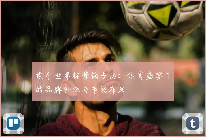 蒙牛世界杯营销专访：体育盛宴下的品牌升级与市场布局