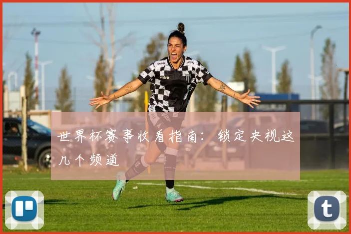 世界杯赛事收看指南：锁定央视这几个频道