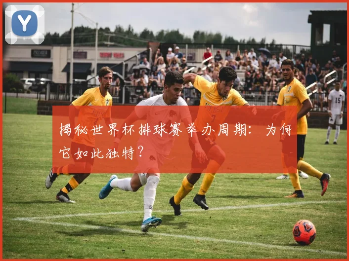 揭秘世界杯排球赛举办周期：为何它如此独特？