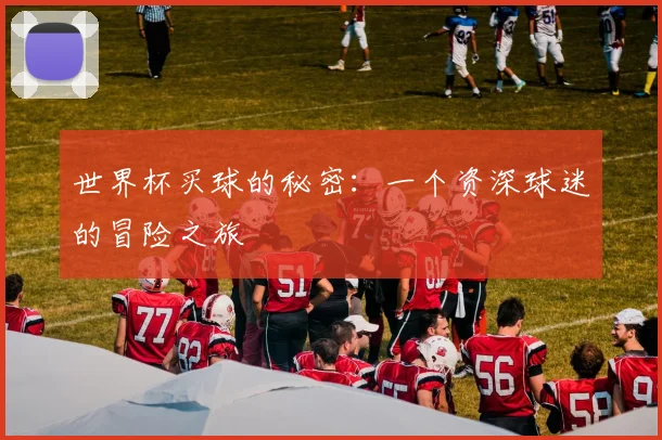 世界杯买球的秘密：一个资深球迷的冒险之旅