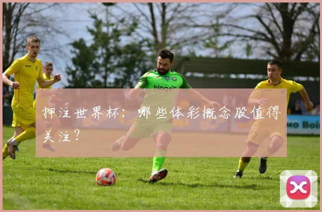 押注世界杯:哪些体彩概念股值得关注?