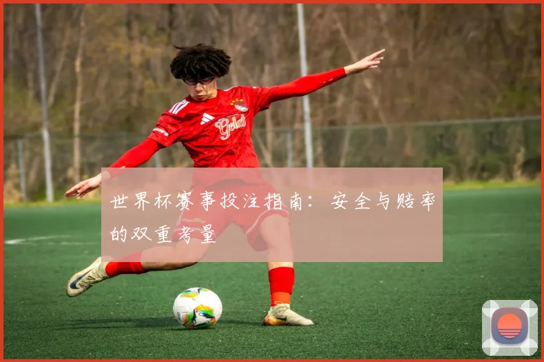 世界杯赛事投注指南：安全与赔率的双重考量