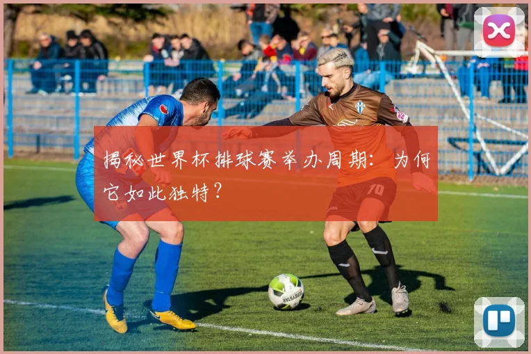 揭秘世界杯排球赛举办周期：为何它如此独特？